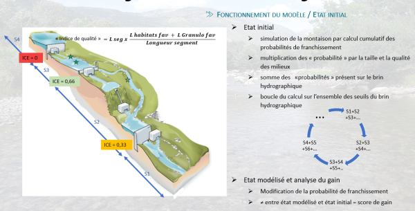 Etude hydromorphologique du bassin versant français du Sègre 